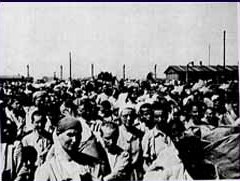 Menschengruppe bei Auschwitz